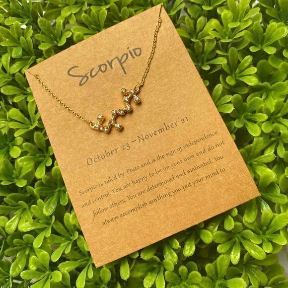 Scorpio Necklace - Picture 1 of 3